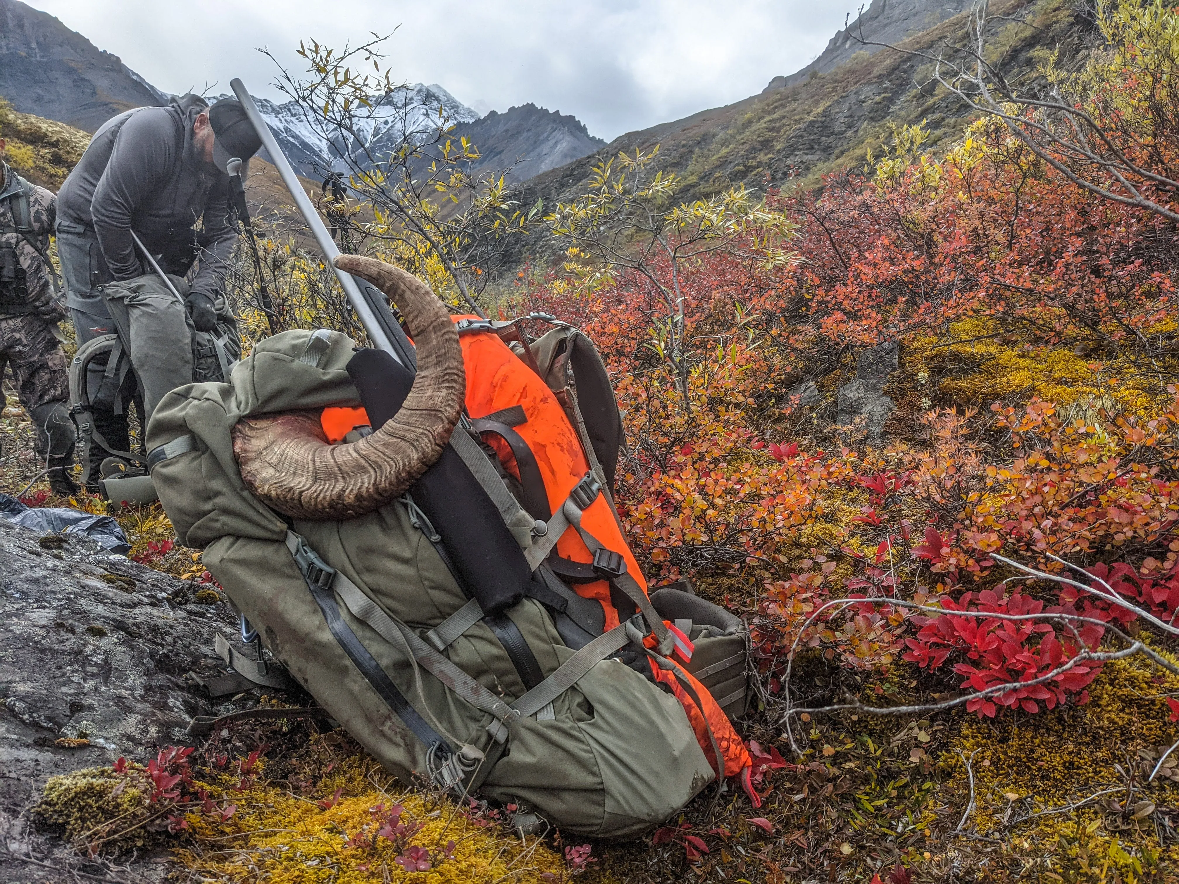 Caribou Gear Orange Wapiti - Limited Edition