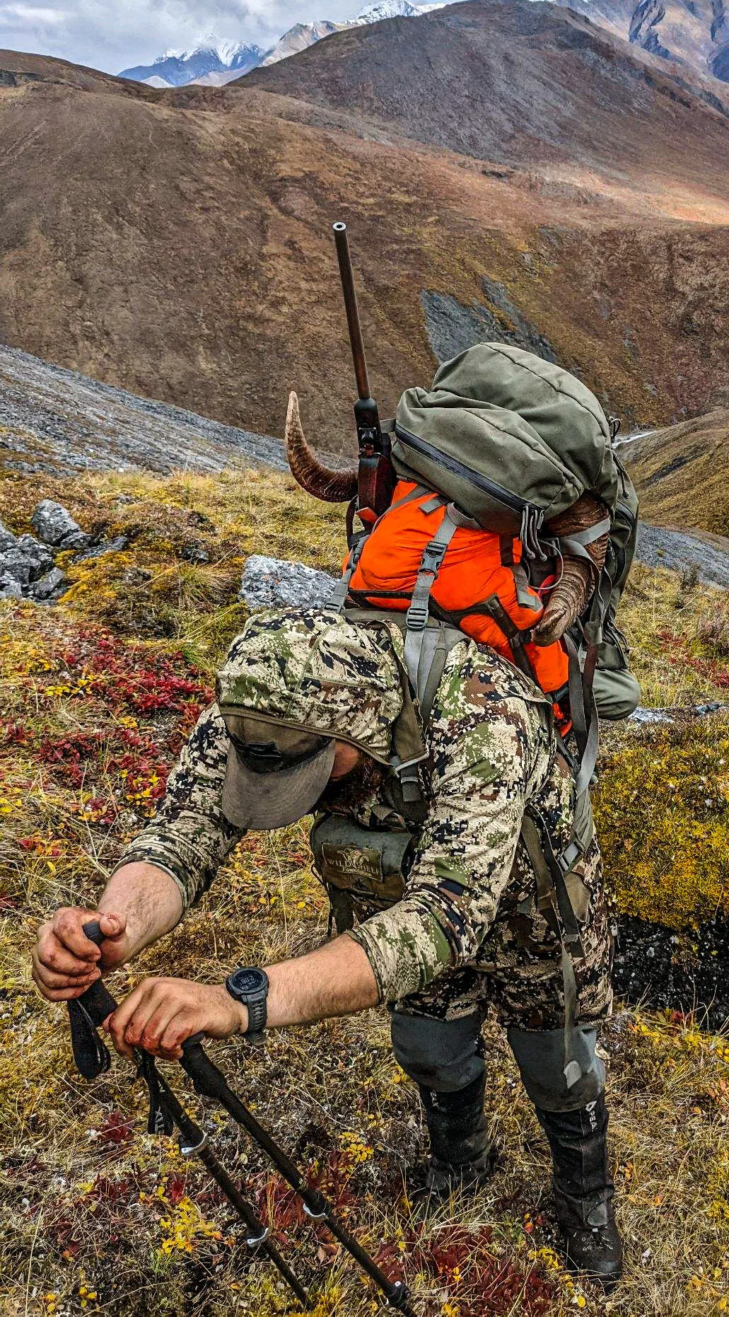 Caribou Gear Orange Wapiti - Limited Edition