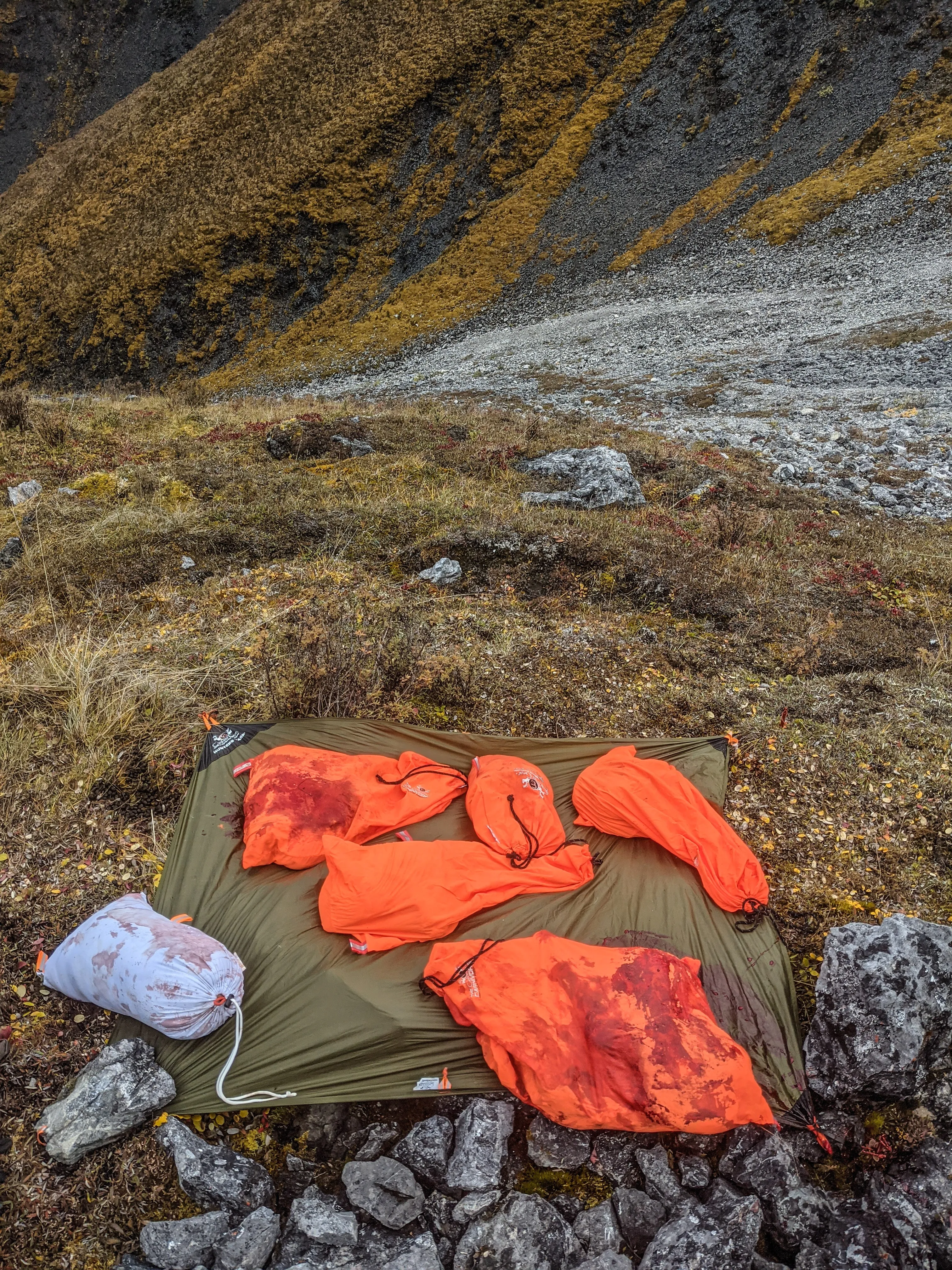 Caribou Gear Orange Wapiti - Limited Edition