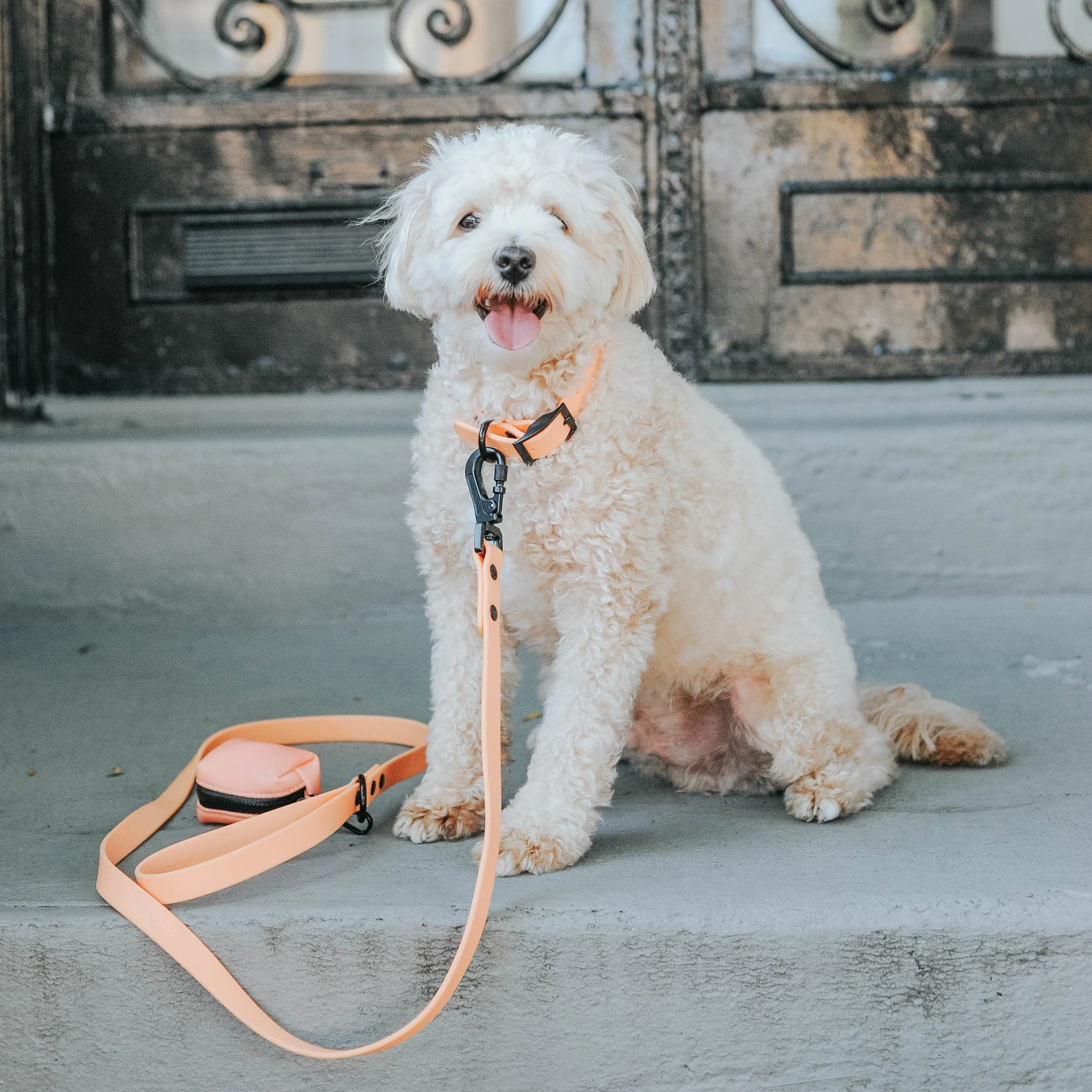 Dog Waterproof Collar - Orange