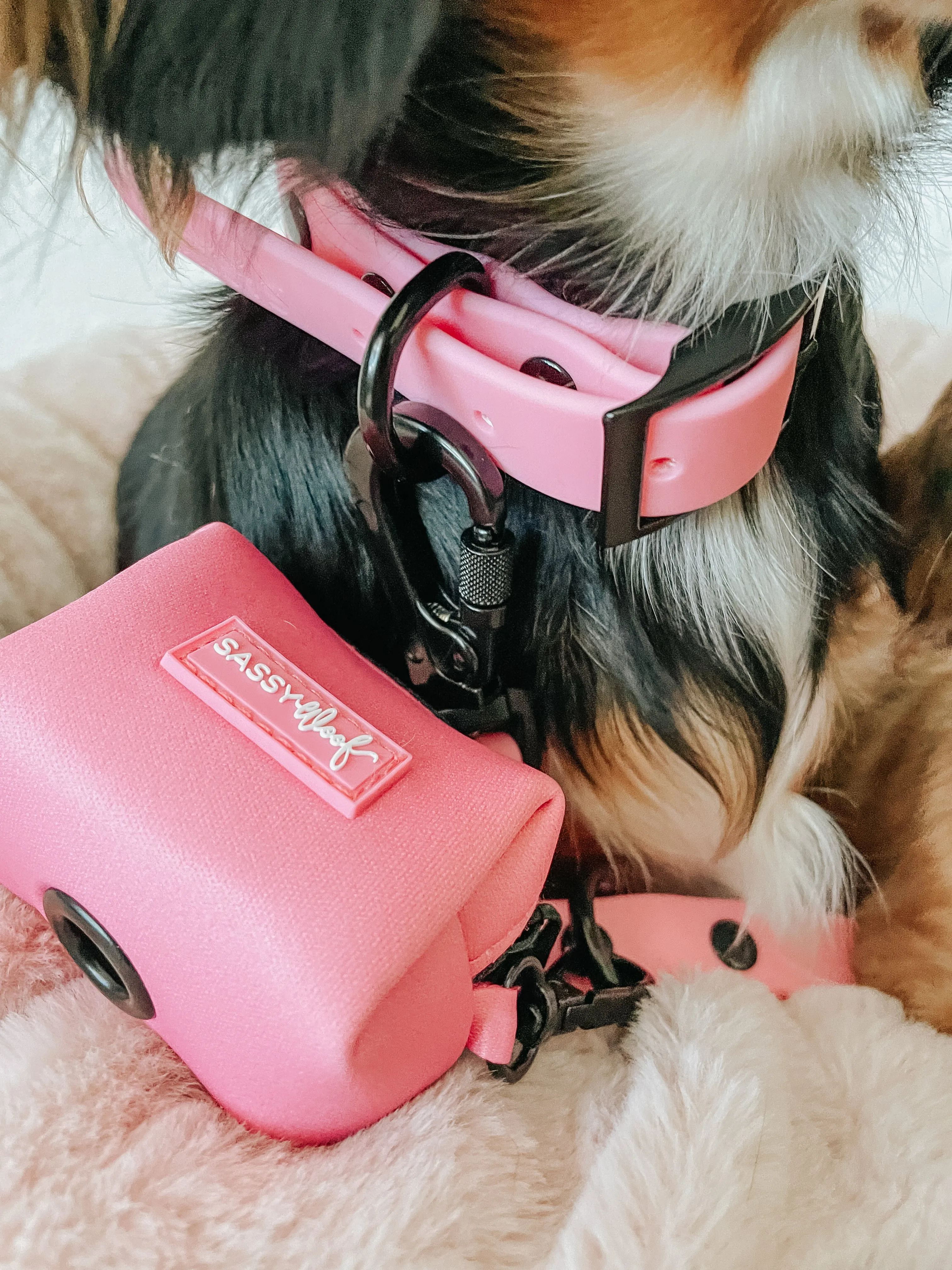 Dog Waterproof Collar - Pink