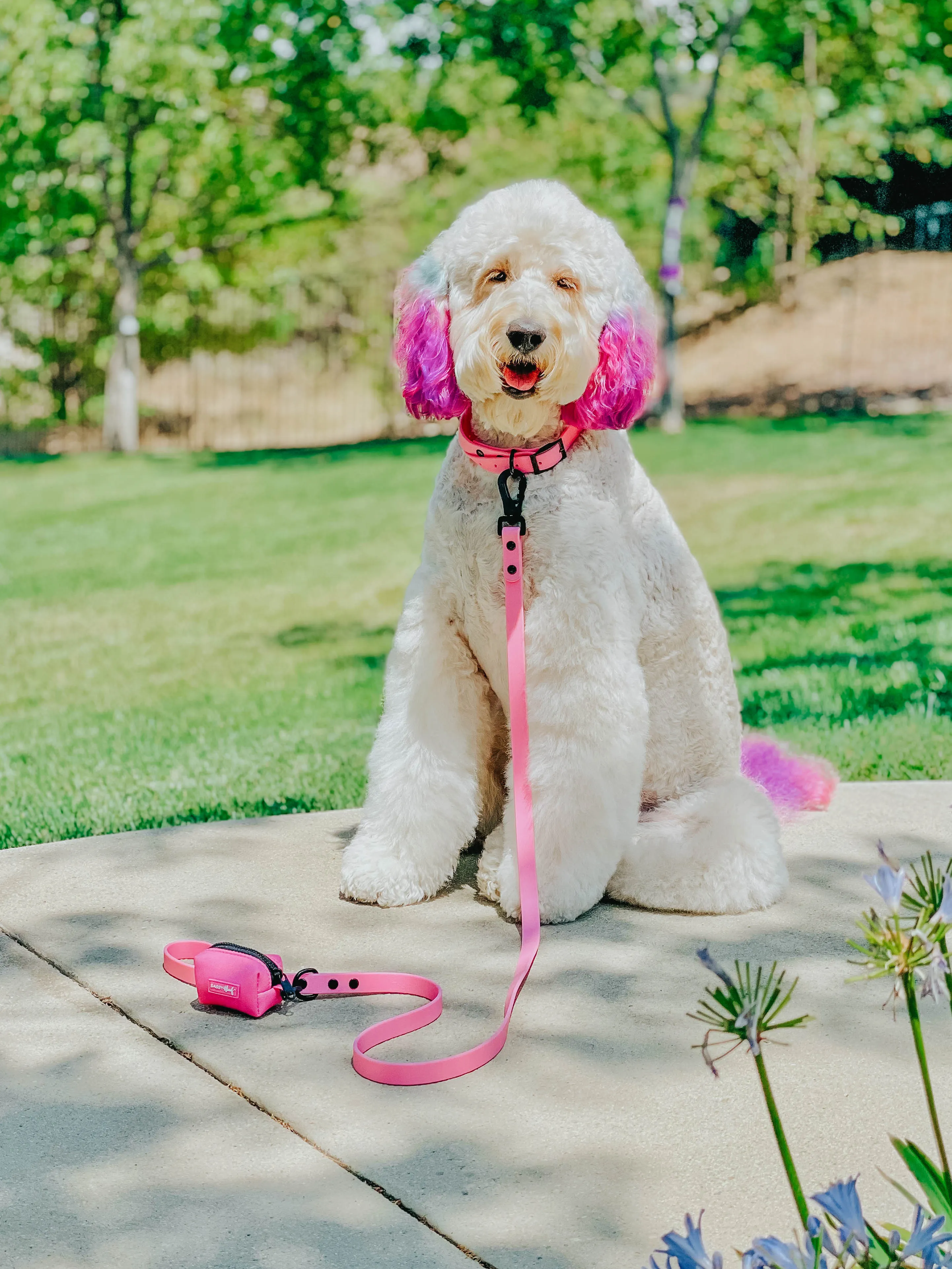 Dog Waterproof Collar - Pink