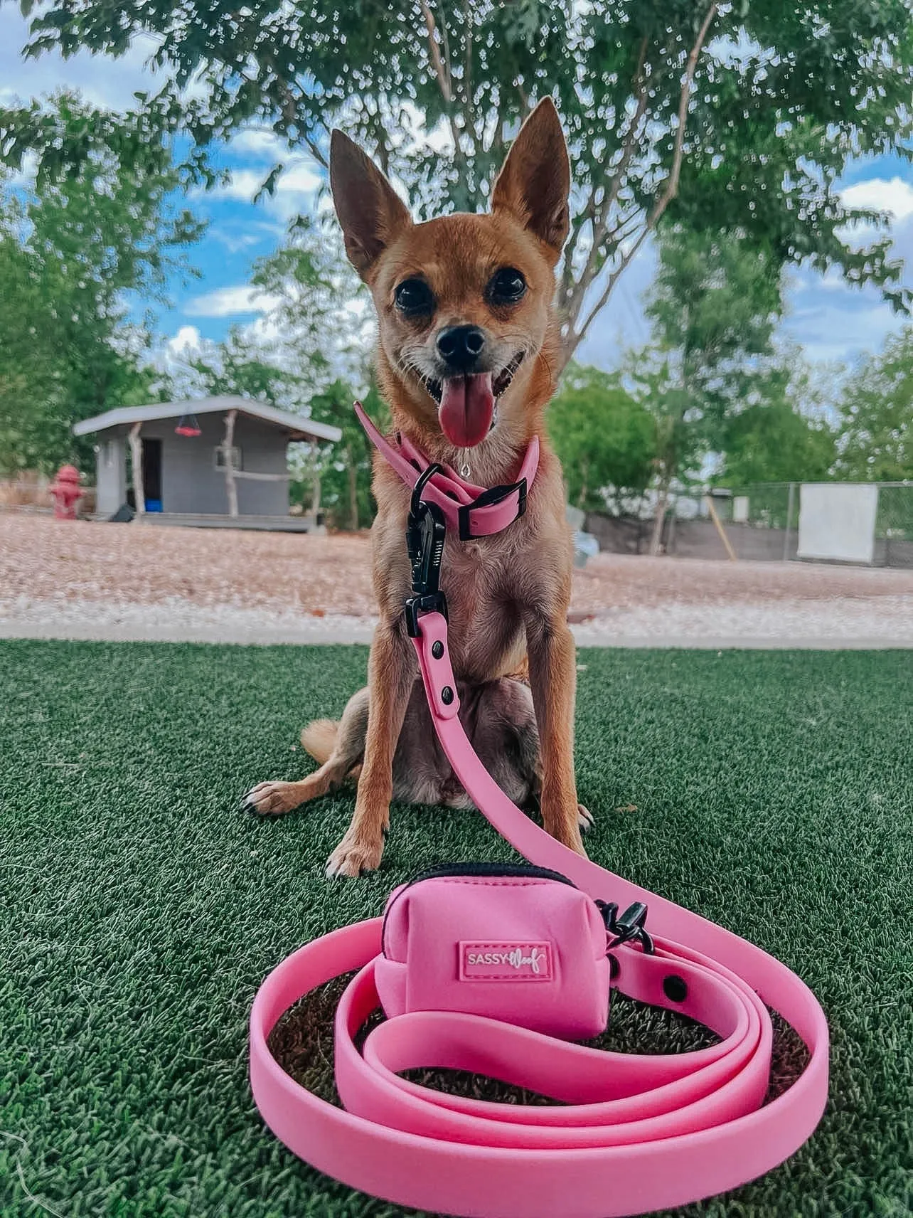 Dog Waterproof Collar - Pink