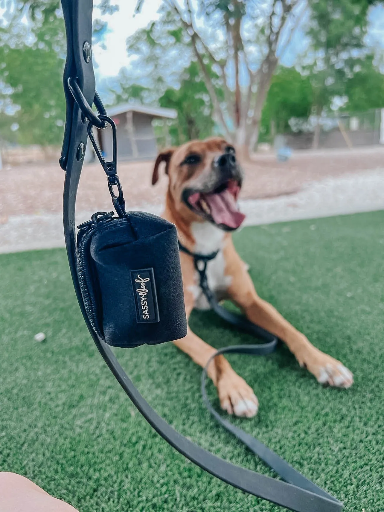 Dog Waterproof Leash - Black
