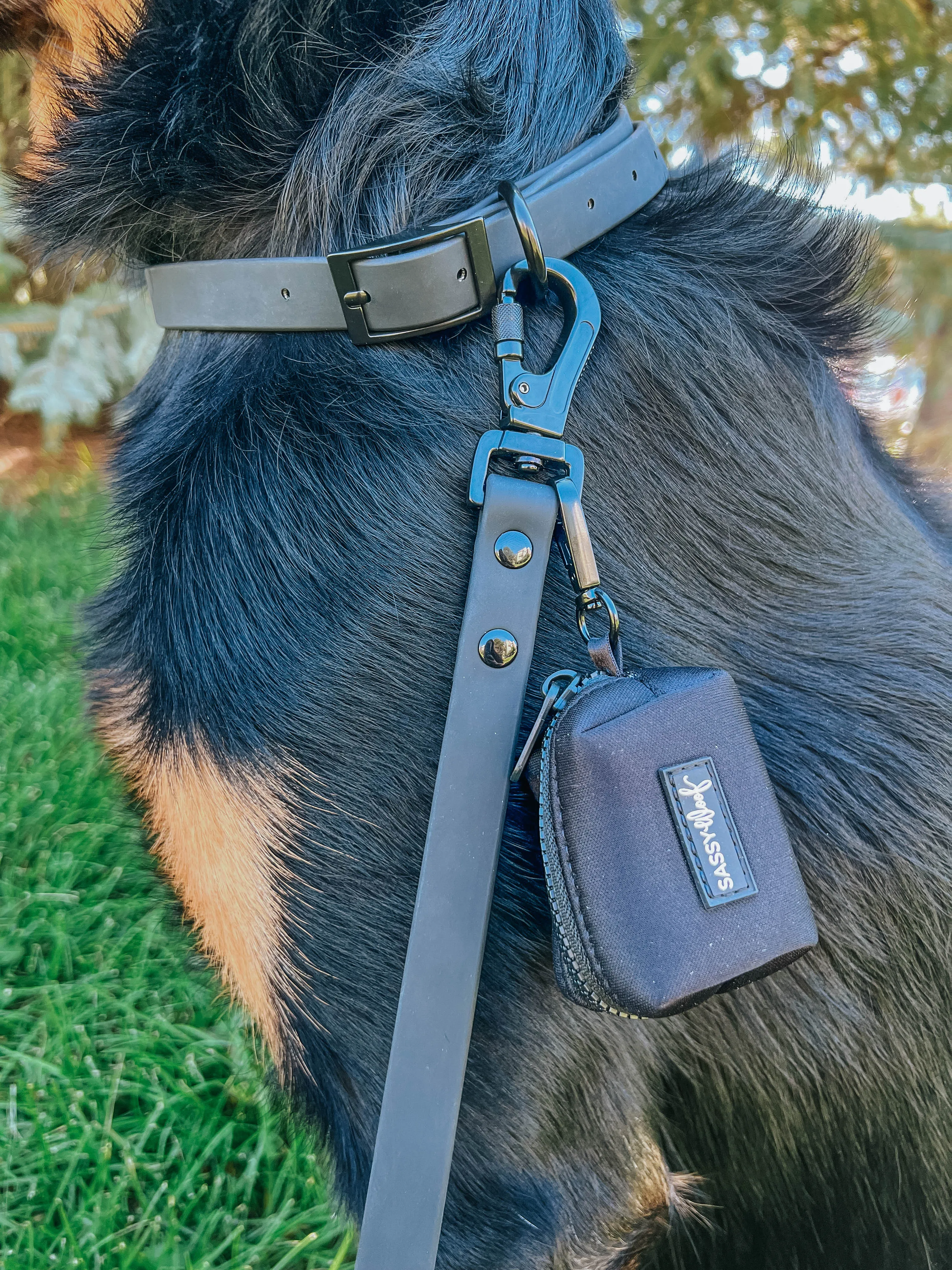 Dog Waterproof Leash - Black