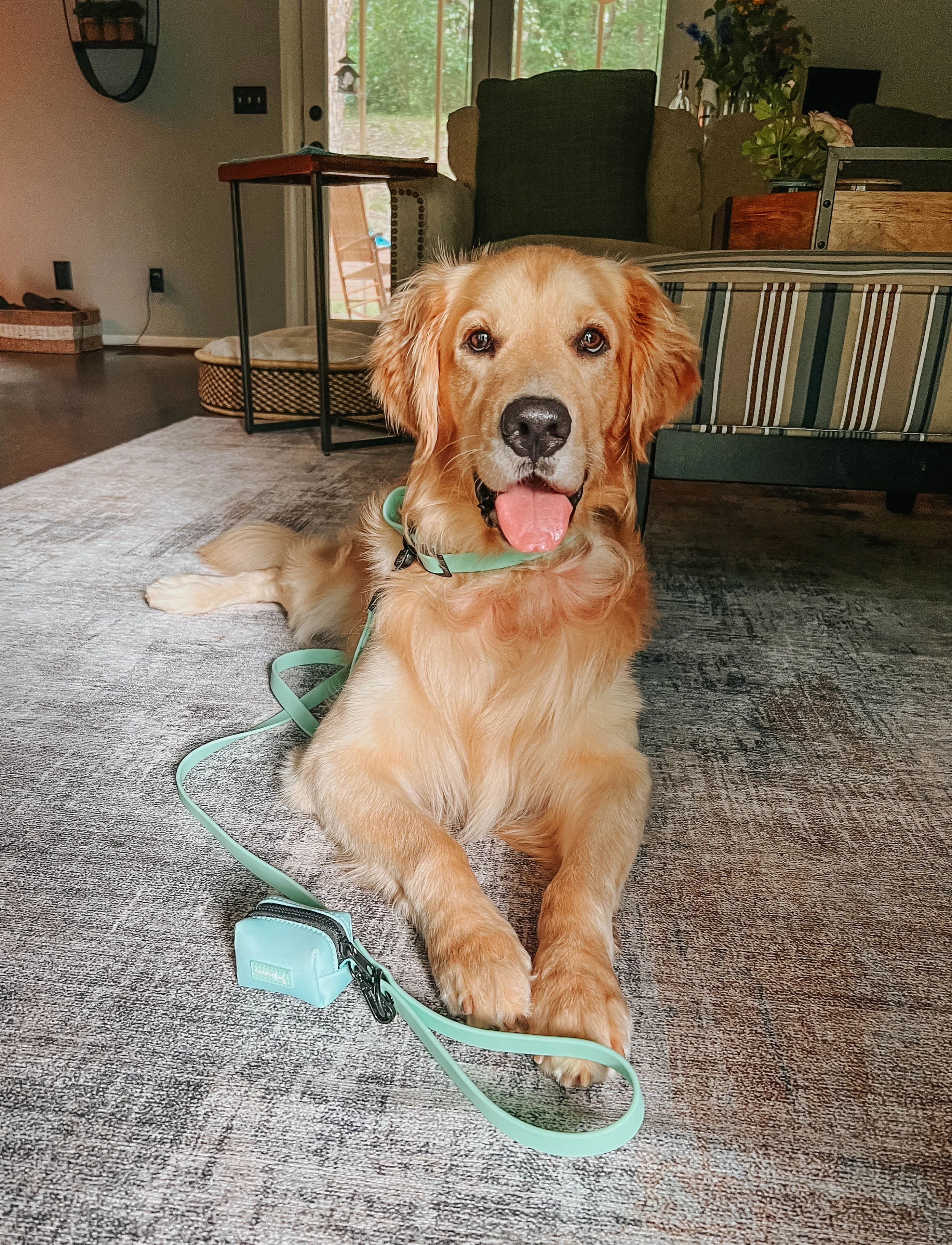 Dog Waterproof Leash - Green