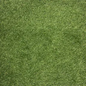 Green Astro Turf Hire - $12sq.m